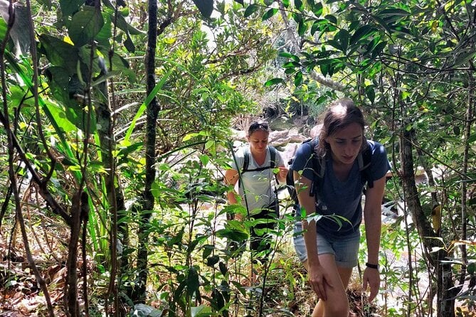 Kampot Day Tour "Bokor National Park" - Nepenthes Flower Fields Exploration