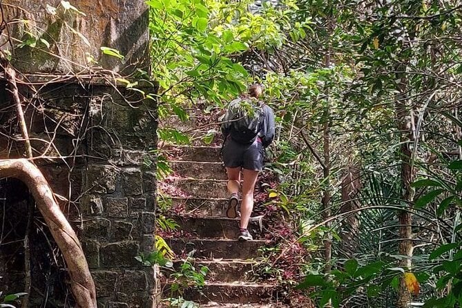 Kampot Day Tour "Bokor National Park" - Reviews