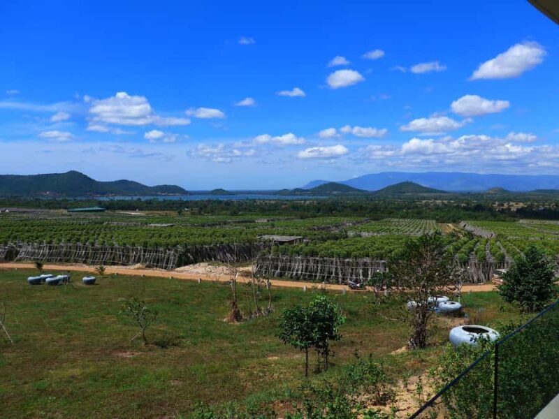 Kampot Day Trip to Pepper Farm, Temple and Salt Field - Transport, Timing, and Booking Details