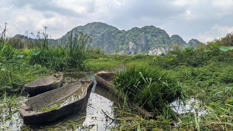 Kampot: Kampong Trach Day Trip - Transportation and Logistics: Comfort and Convenience