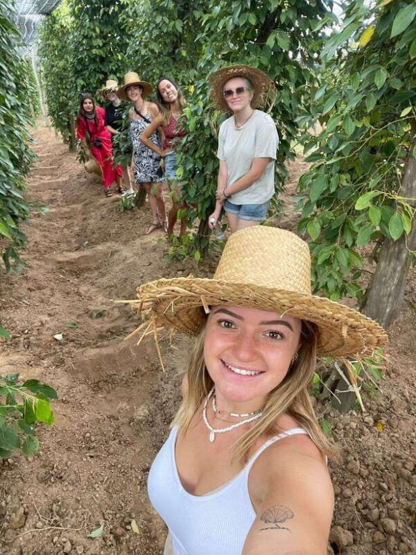 Kampot, Kep, Paper Farm, Old French Architectures - Exploring Kampot and Kep: A Rich Tapestry of Nature and History