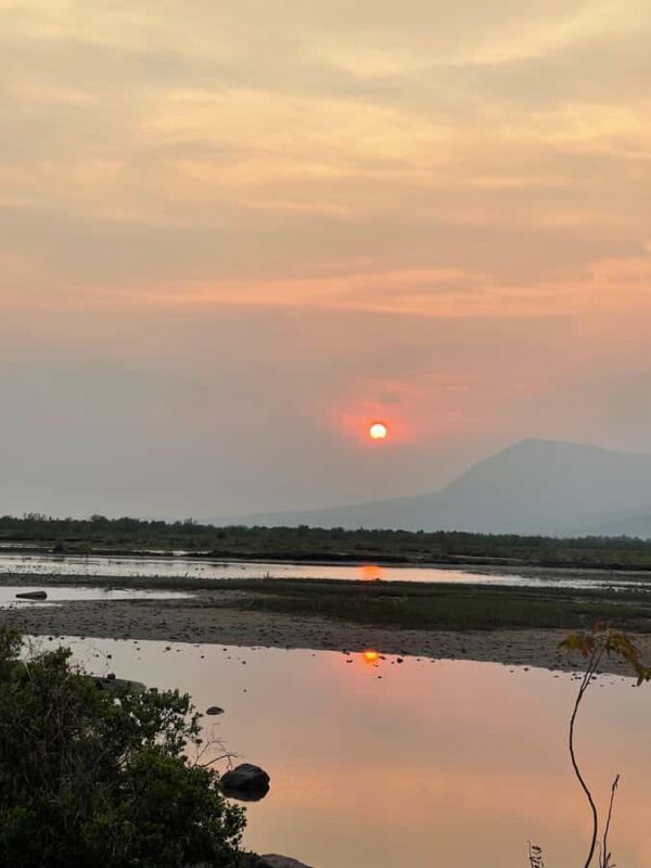 Kampot: Lotus Pond, Wat Traeuy Kaoh, and Coconut Beach Tour - A Detailed Look at the Kampot: Lotus Pond, Wat Traeuy Kaoh, and Coconut Beach Tour
