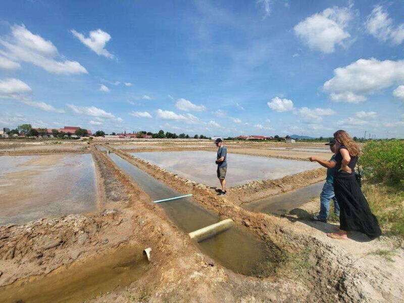 Kampot Pepper Farm, Salt Fields, Cave from Sihanoukville - Practical Details and Expectations
