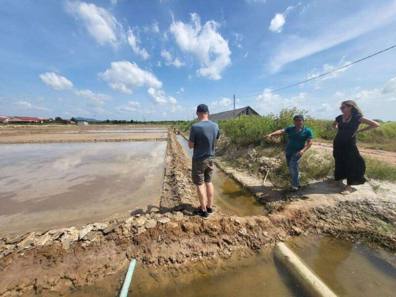 Kampot Pepper Farm, Salt Fields, Cave from Sihanoukville - Exploring Kampot: A Day Tour from Sihanoukville