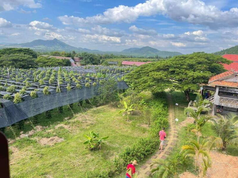 Kampot Pepper Farm, Salt Fields, Crab Market from Phnom Penh - Phnom Chhngok Cave: Limestone Beauty and Historical Significance