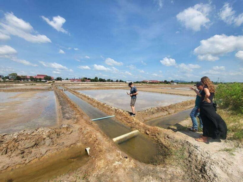 Kampot Pepper Farm, Salt Fields, Crab Market from Phnom Penh - Organic Pepper Farm Visit
