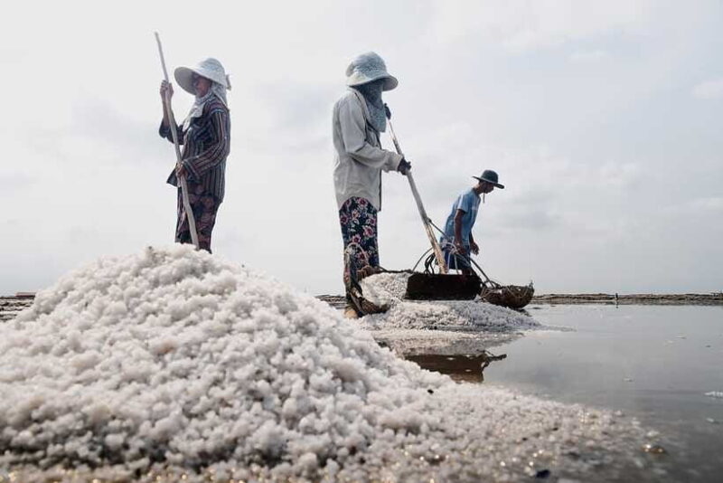 Kampot: Salt Fields, Pepper Farm, and Secret Lake Tour - Final Thoughts: Is This Tour Worth It?