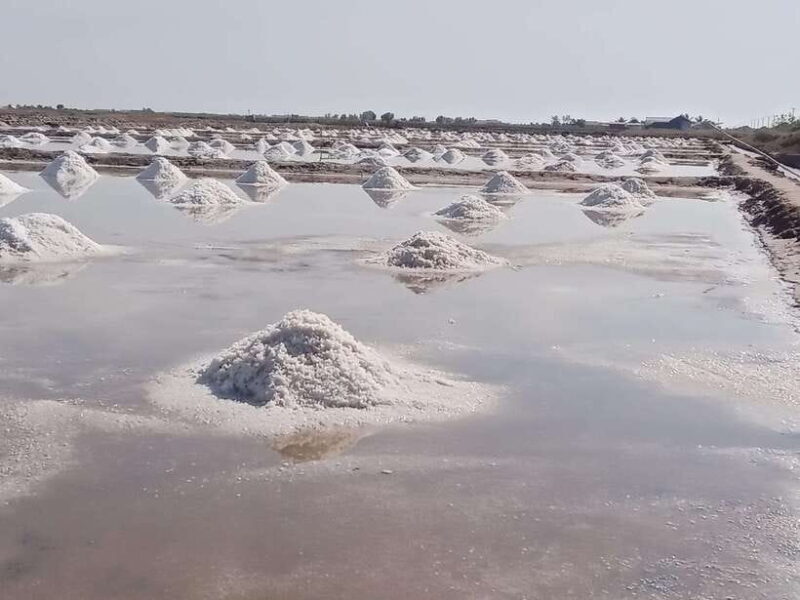 Kampot ~The County side/pepper farm/ Kep Crab market - An Overview of the Experience