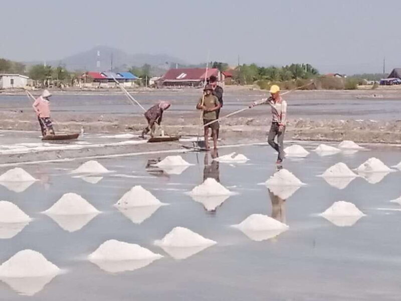 Kampot ~The County side/pepper farm/ Kep Crab market - The Sum Up