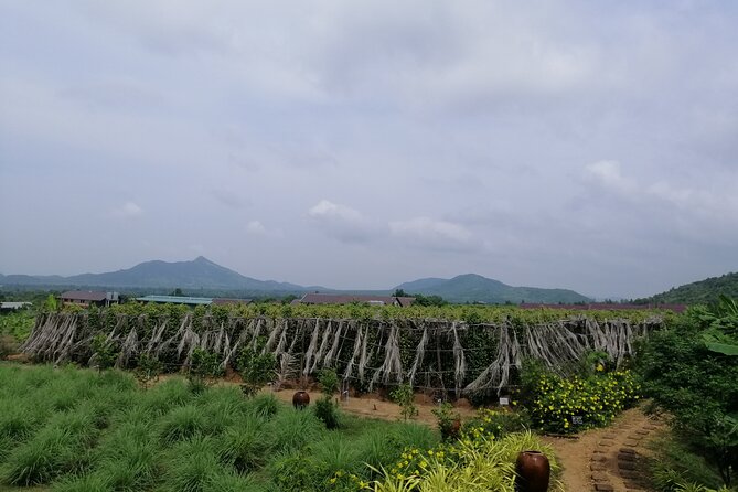 Kampot Tour Pepper Plantation, Salt Field, Cave, Secret Lake - Overview of Kampot Tour Itinerary