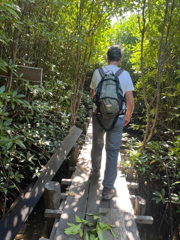 Kampot: Trapeang Sangkae Mangrove Forest Tour - An In-Depth Look at the Kampot Mangrove Forest Tour