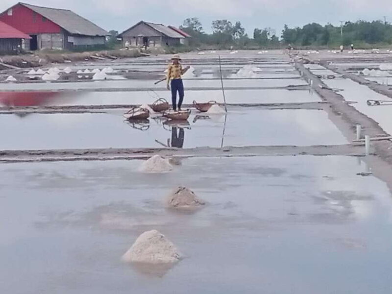 Kampot: Tuk Tuk Trip to Pepper Farm, Kep, Crab Market & More - A Deep Dive into the Kampot Tuk Tuk Experience