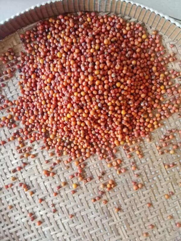 Kampot: Tuk Tuk Trip to Pepper Farm, Kep, Crab Market & More - An In-Depth Look at the Kampot Tuk Tuk Tour