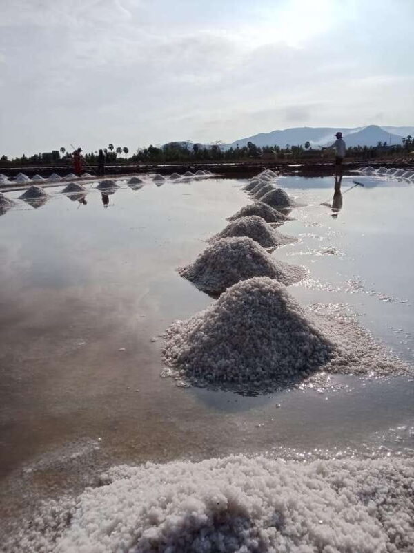 Kampot: Tuk Tuk Trip to Pepper Farm, Kep, Crab Market & More - Frequently Asked Questions