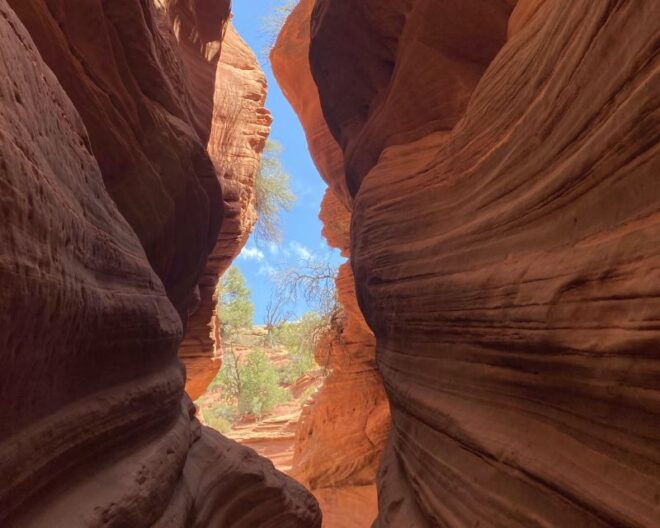 Kanab: Peek-A-Boo and Great Chamber UTV Guided Tour - Reservation and Payment