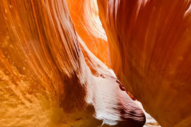 Kanab: Small-Group Peek-A-Boo Hiking Tour  - Zion National Park - Tour Details