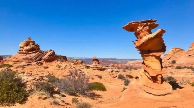 Kanab: South Coyote Buttes Hiking Tour (Permit Required) - Guided Tour Insights and Experiences