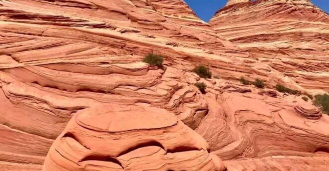 Kanab: South Coyote Buttes Hiking Tour (Permit Required) - Selecting Participants and Date