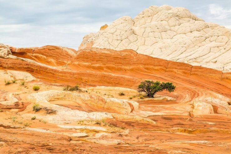 Kanab: White Pocket Tour & Hike - Experience White Pockets Beauty
