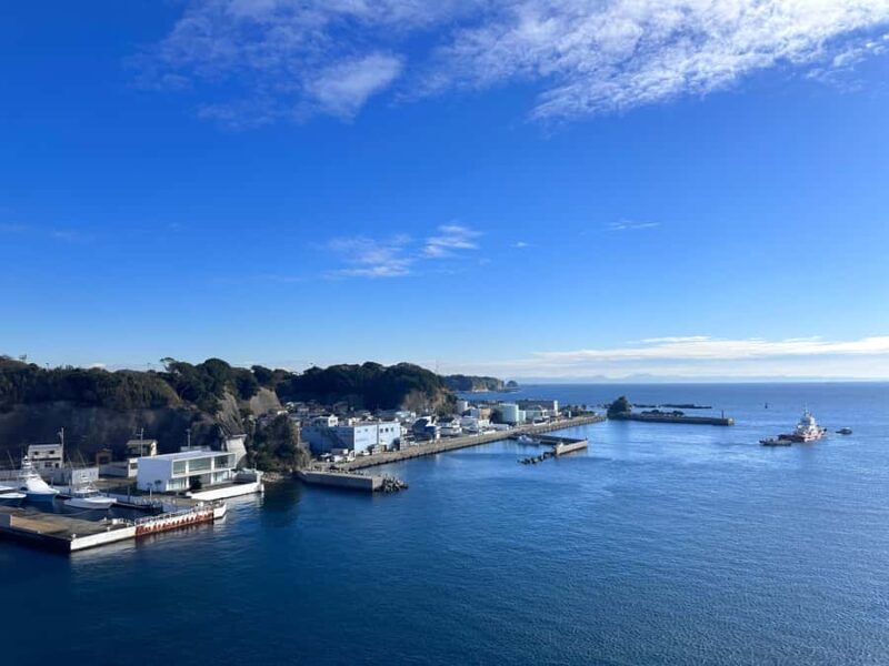 Kanagawa: Jogashima Island Tour with Scenic Views - An In-Depth Look at the Jogashima Island Tour