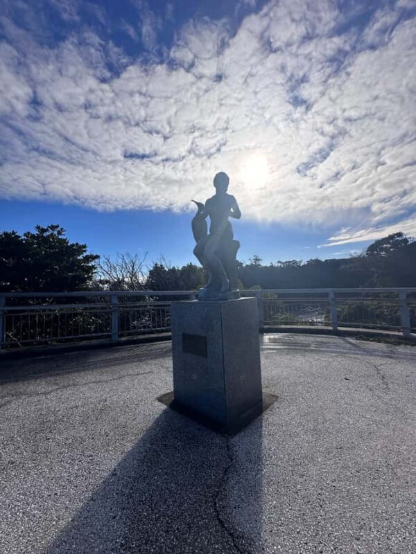 Kanagawa: Jogashima Island Tour with Scenic Views - Who Should Consider This Tour?