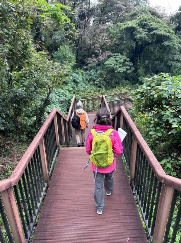 Kanagawa: Koajiro no Mori Forest Trek with Guide - Who Will Love This Experience?  