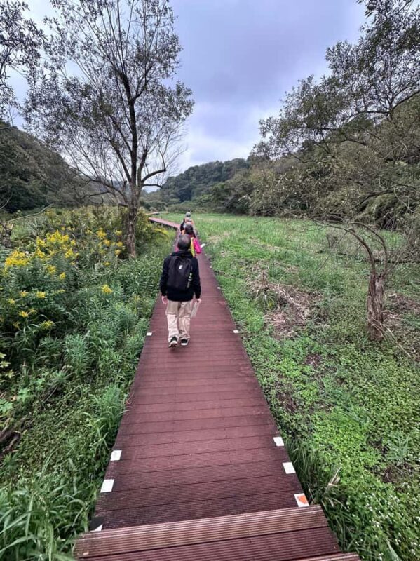 Kanagawa: Koajiro no Mori Forest Trek with Guide - The Sum Up