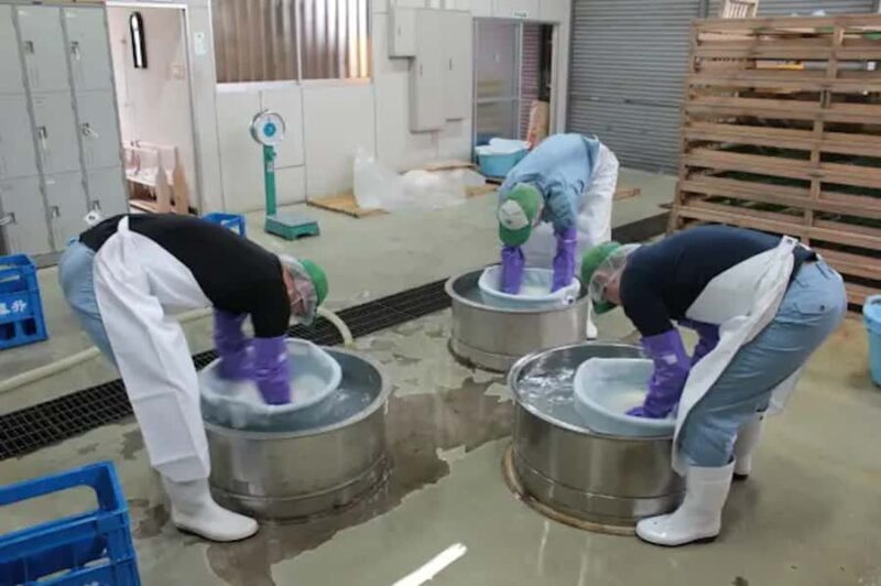 Kanagawa : Koganei Brewery Sake Tasting - Who Will Enjoy This Tour?