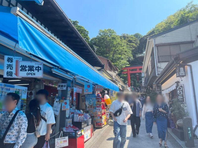 Kanagawa: Shopping & Temple Visit tour in Enoshima island - FAQ