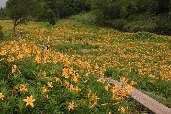 Kanazawa Day Tour: Shomyo Falls & Tateyama Mountain Walks - FAQ