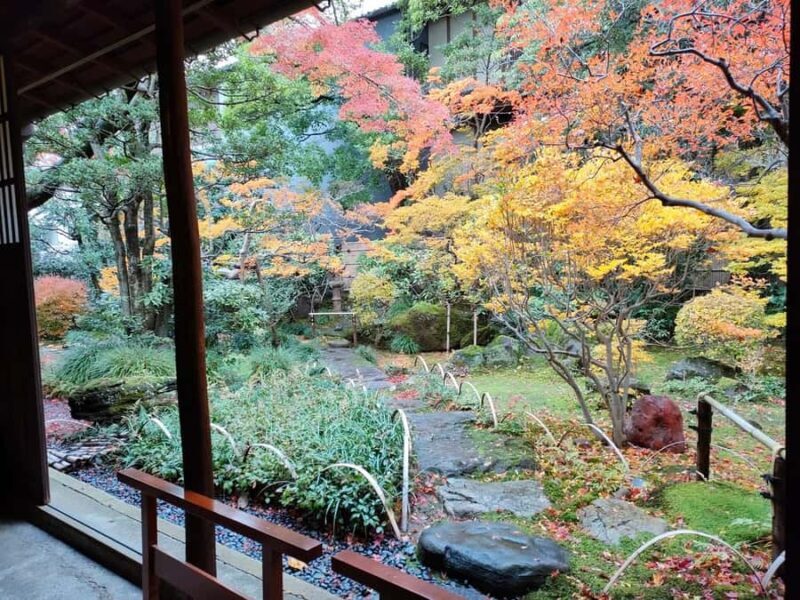 Kanazawa: Food Hopping from Ryotei Dinner to Local Bar - Good To Know