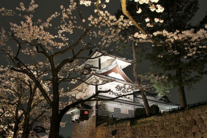 Kanazawa: Full-Day Private Guided Tour - Explore the Geisha District