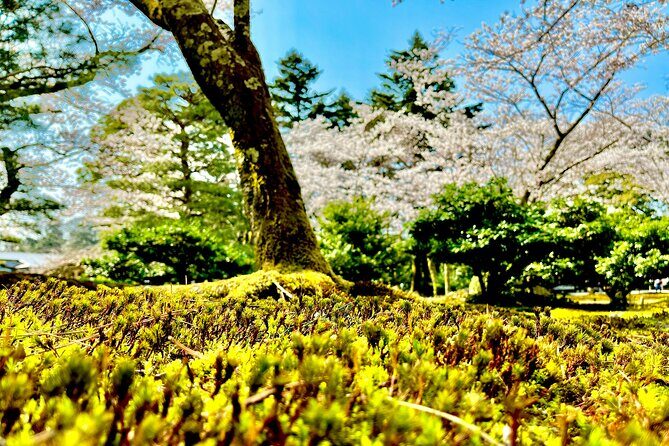 Kanazawa Full Day Private Tour to Top Highlights with Local Guide - An In-Depth Look at the Itinerary