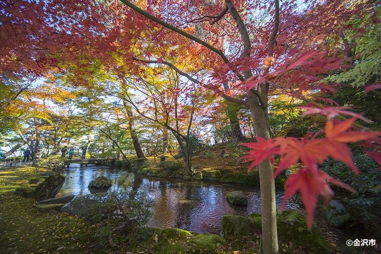 Kanazawa Half Day Historical Photo Spot Walking Tour - Private or join-in: choose the right format