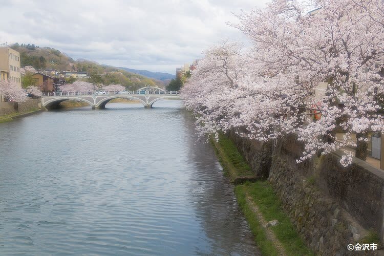 Kanazawa Half Day Historical Photo Spot Walking Tour - Who should book this Kanazawa walk?