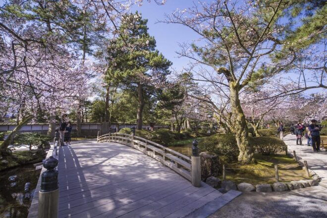 Kanazawa: Highlights Private 6-Hour Tour - Experience Omicho Market