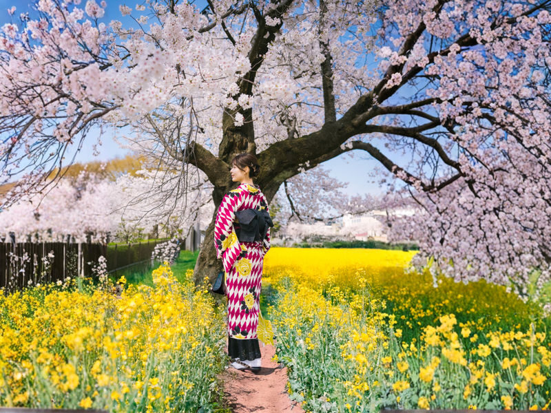 Kanazawa Kimono Street-Walking Plan [Kanazawa Kimono Karen] - Key points to know before you book