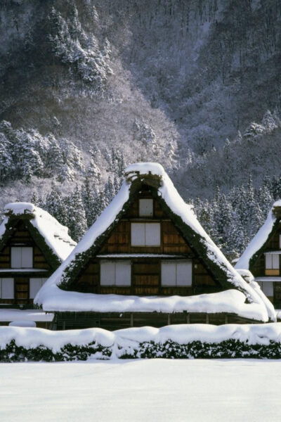 Kanazawa: Nostalgic Shirakawa-go & Kanazawa Tour - Booking Information