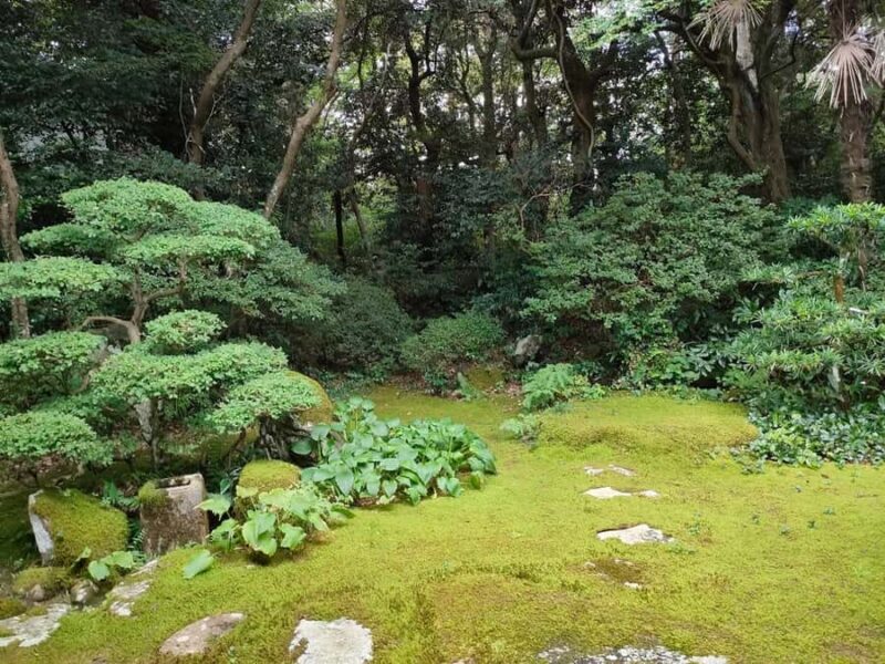 Kanazawa, Noto: Old Temple Half Day Tour with a Monk - The Scenic Drive Along Chirihama Nagisa Driveway