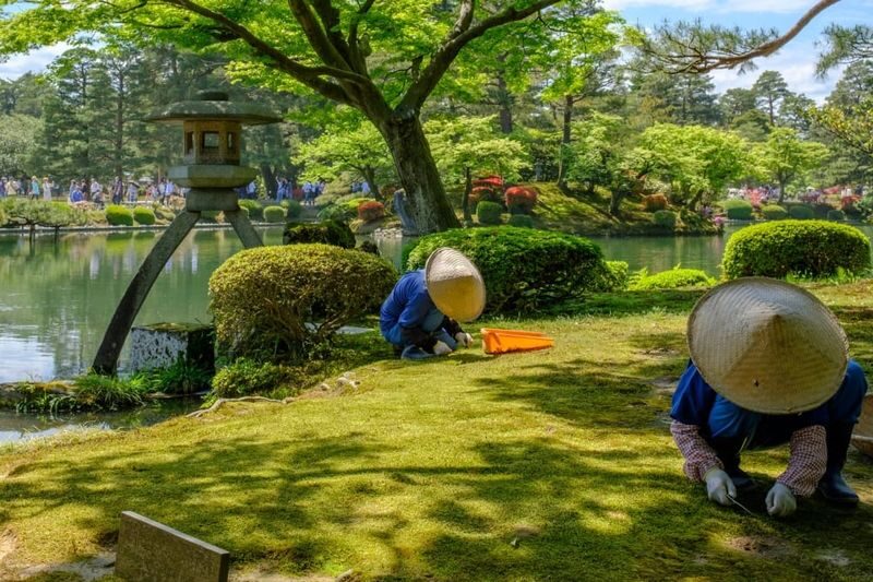 Kanazawa One-Day Private Cultural Tour - Omicho Market makes lunch part of the city