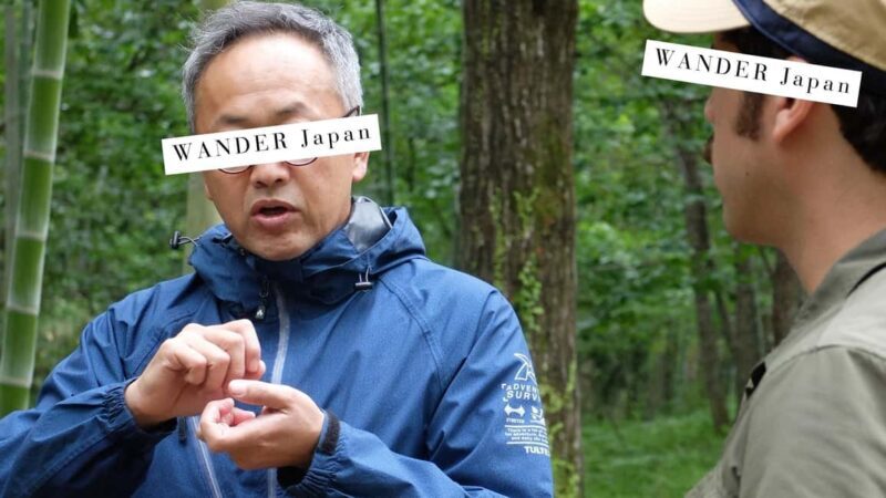 Kanazawa Private/Group Walking Tour: Local & Major Highlight - The Bottom Line: Who Should Book This Tour?