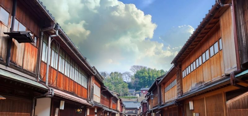Kanazawa: Private Half-Day Highlights Tour with Local Guide - Samurai streets, castle walls, and Oyama Shrine