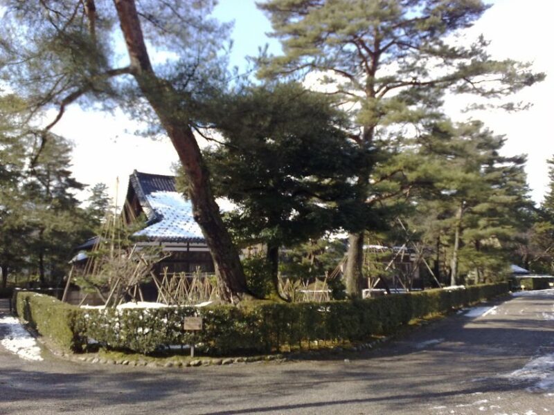 Kanazawa: Private Walking Tour with a Local - The Experience Itself