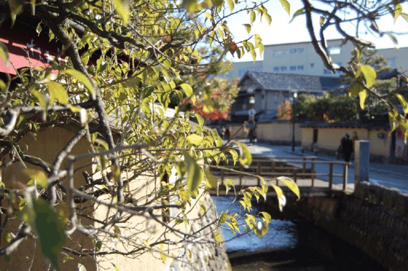 Kanazawa: Samurai Residence Remains Nomura Family admission - Who Should Visit?