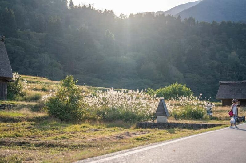 Kanazawa: Shirakawa-go Private Day Trip with Lunch - Who Should Consider This Tour?