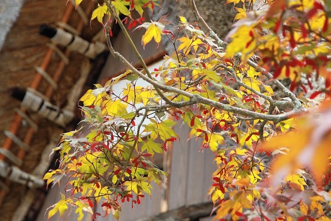 Kanazawa Takayama (One Way) Including Shirakawago (Private Tour) - Common Questions