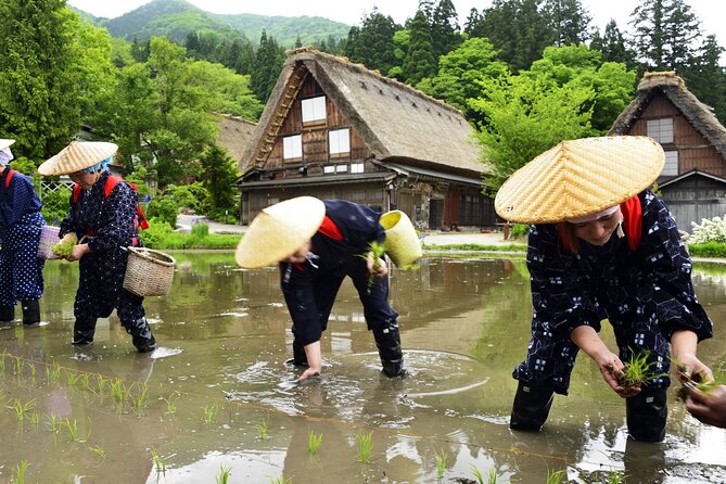 Kanazawa to Shirakawago to Takayama: English Speaking Driver Only - The Sum Up