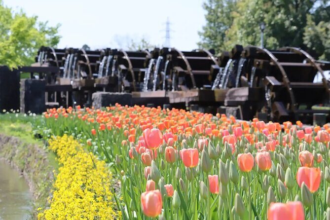 Kanazawa Tonami Tulips and UNESCO Gokayama - FAQ