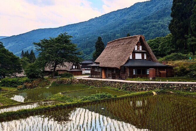 Kanazawa Tonami Tulips and UNESCO Gokayama - Transportation and Practical Details
