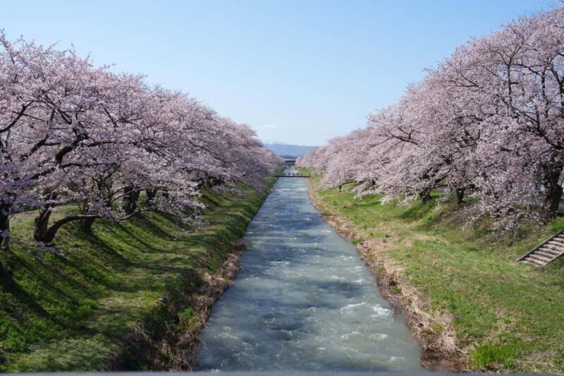 Kanazawa/Toyama: Spring Quartet of Flowers Day Tour - Good To Know